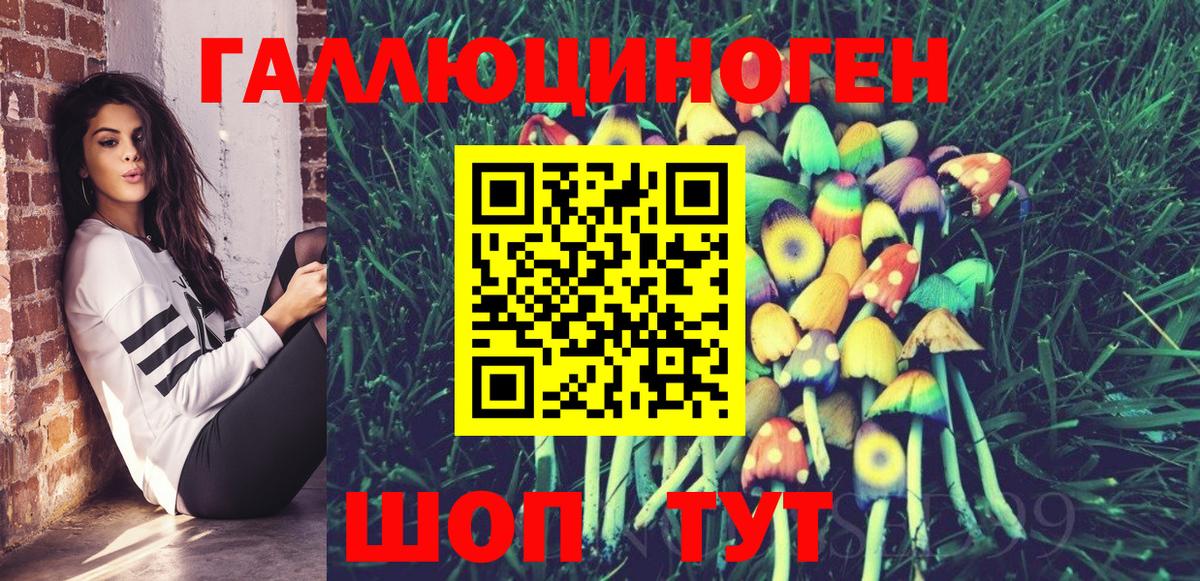 Псилоцибиновые грибы Cubensis Димитровград