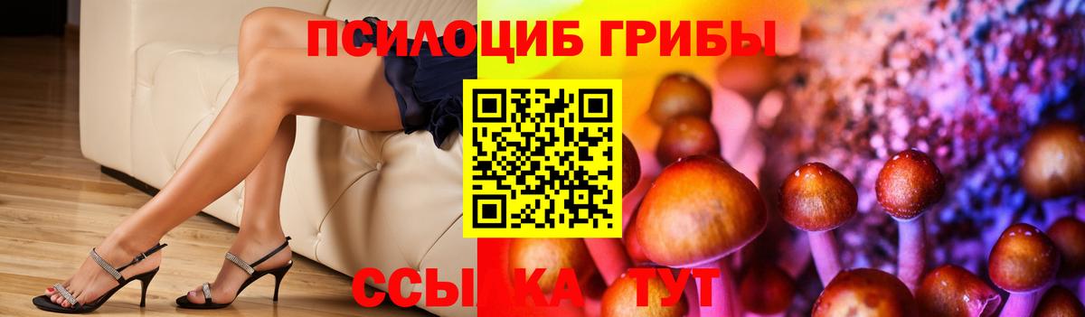 Димитровград  Псилоцибиновые грибы мицелий  Вход с VPN 