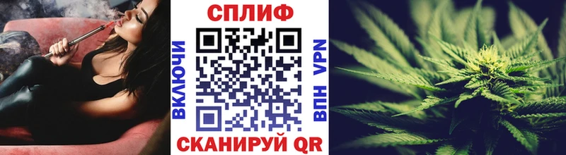 Каннабис ГИДРОПОН  Димитровград 